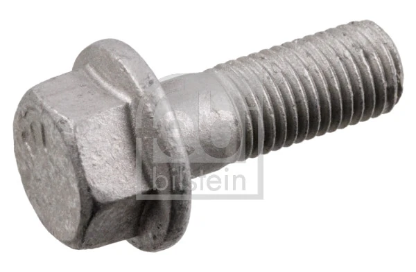 Bolt, brake caliper